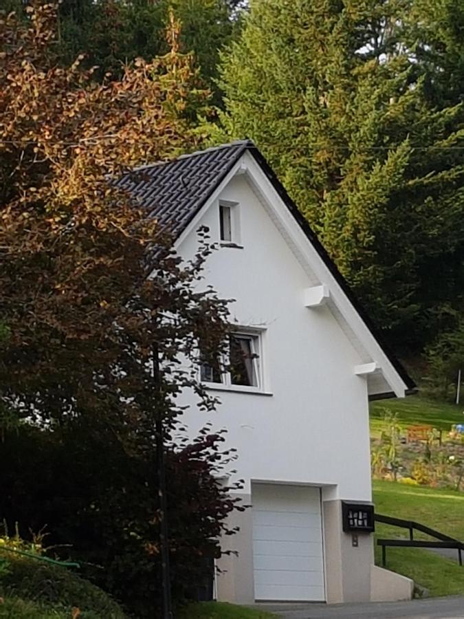 Ferienhaus Am Ruhberg Villa Winterberg Exterior foto