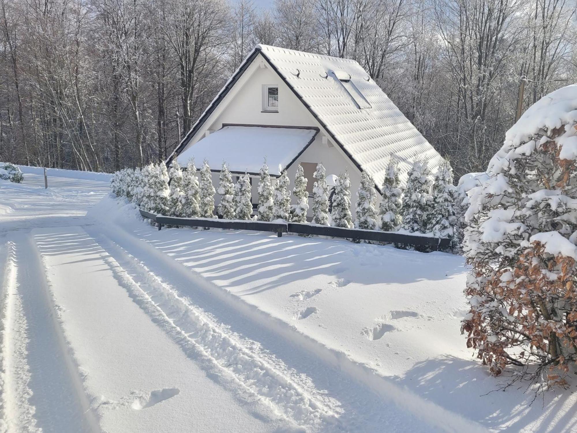 Ferienhaus Am Ruhberg Villa Winterberg Exterior foto